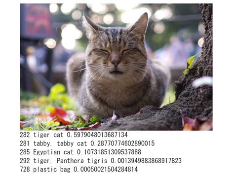 Image result for MLT Deep Learning