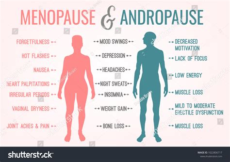 Menopausia En Hombres