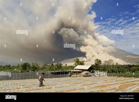 Pyroclastic Flow Causing a Tsunami 的图像结果