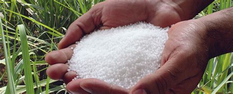 YaraVera - Urea fertilisers | Yara India
