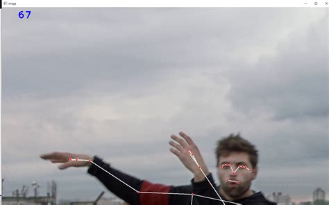 Image result for Warping Face Python