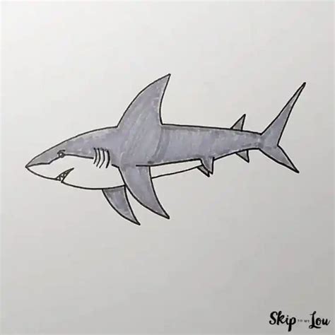 Shark Drawing Easy Small at Hugo Jenyns blog