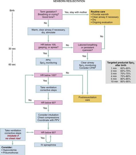 Image result for Neonatal Resuscitation Algorithm