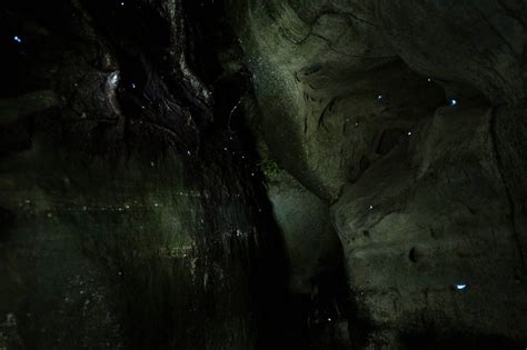 Alabama's Secret Glow Worms In Dismals Canyon | TouristSecrets