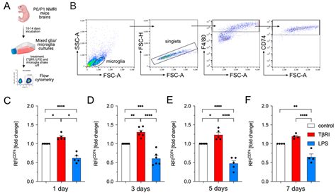 Microglial CD74 Expression Is Regulated by TGFβ Signaling