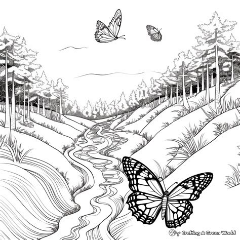 Monarch Coloring Pages - Free & Printable!