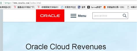 Java JRE Download Oracle 的图像结果