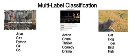 Image result for Machine Learning Classification Example