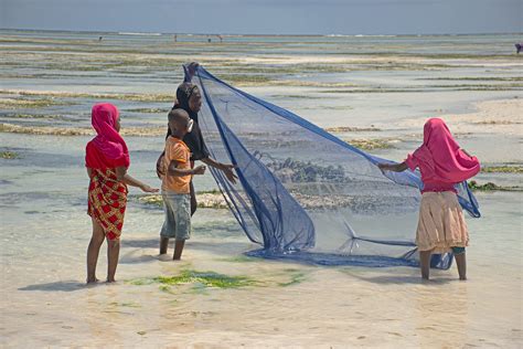 What is the Population of Tanzania - Tanzania knowledge
