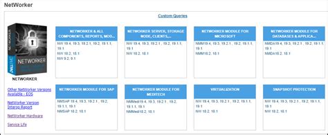 Dell NetWorker Software 的图像结果