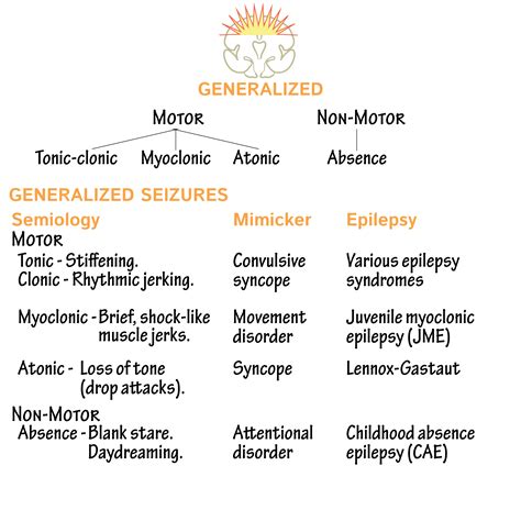 Neurological System Glossary: Seizures & Epilepsy - Overview | ditki medical & biological sciences
