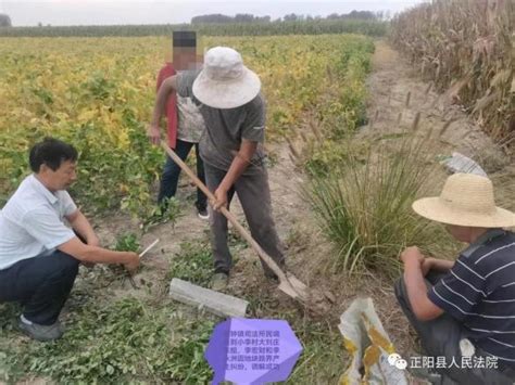 【护航二十大】土地界限引纠纷 线上调解促和谐_澎湃号·政务_澎湃新闻-The Paper