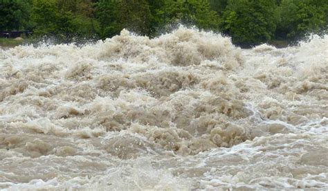 Floods kill 45 in Niger, over 2.26 lakh displaced- The Week