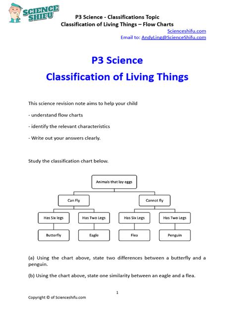 Classification Science P6 的图像结果