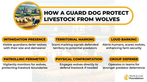9 Livestock Guardian Dog Breeds For Protecting Sheep From Predators EN Pet YOLO