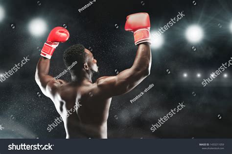 Image result for Boxing Winner