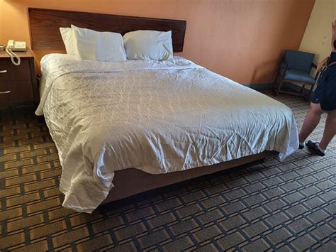 BUCKEYE INN NEAR OSU MEDICAL CENTER, COLUMBUS OH I-71 BY OYO - Hotel ...