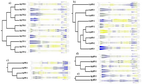 Evolutionary Understanding of Aquaporin Transport System in the Basal ...