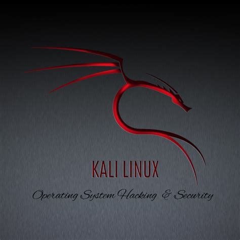 Image result for Kali Linux Stock Image