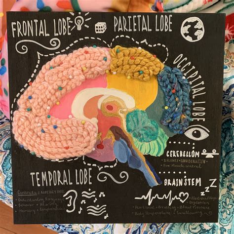 DIY Brain Model Projects 的图像结果