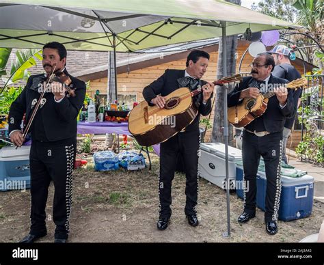 Mexican mariachi band playing happy, iconic, traditional music at ...