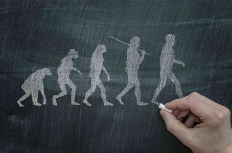 When was talking invented? A language scientist explains how this unique feature of human beings ...