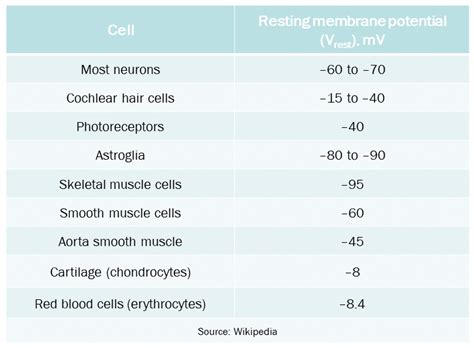 Image result for Threshold vs Resting Membrane Potential