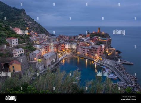 Image result for Label Insert Data HTML