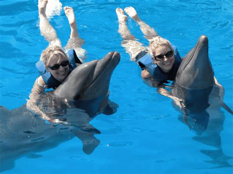 Image result for Think Visual