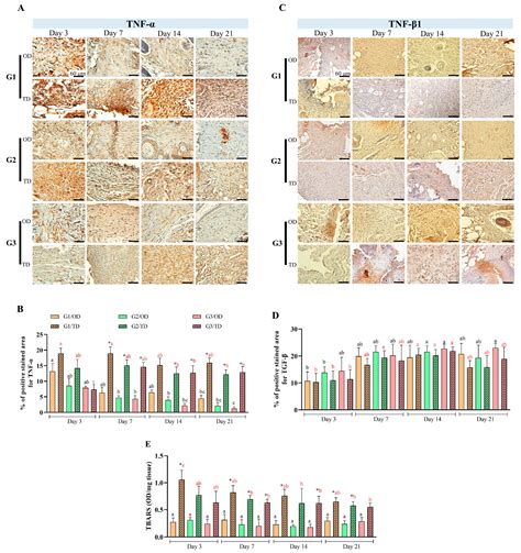 Topical over Dermal Versus Transdermal Application of Cyanoacrylate in ...