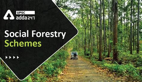 Social Forestry Schemes in India | Social Forestry