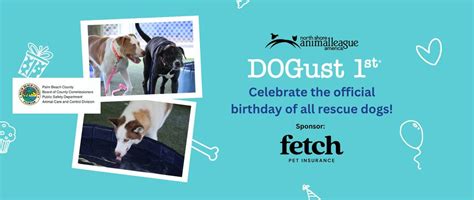 DOGust 1st Adoption Specials at PBCACC, 7100 Belvedere Rd, West Palm ...