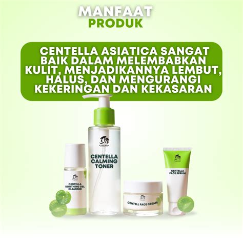 Acne Treatment with Centella Asiatica Skin Care Set