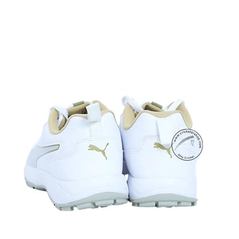 Puma Classicat 107807 01 Cricket Rubber Shoes White Gold