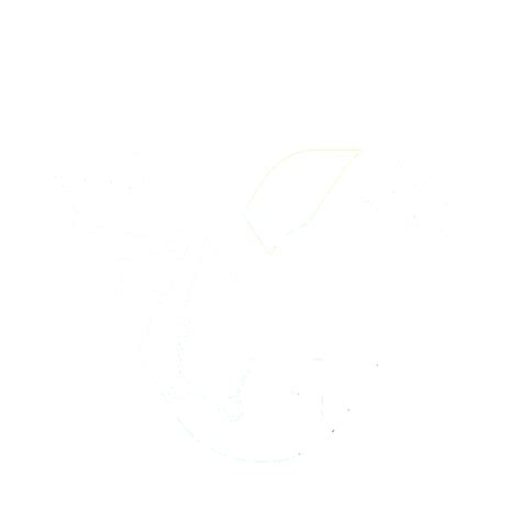 VVP Tech — IT Consultancy Services