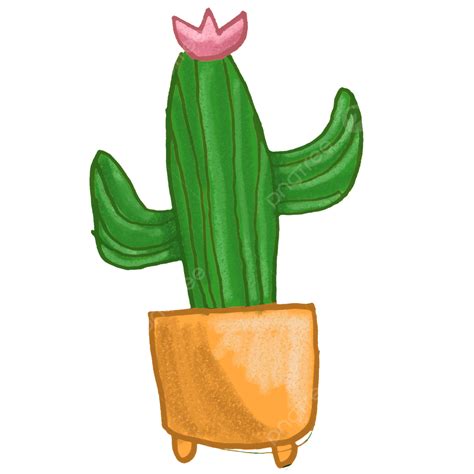Cactus Plants PNG Transparent, Cactus Plant House Clip Art, Kaktus ...