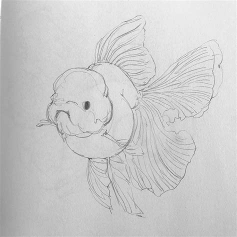 Fish Drawing with Open Mouth
