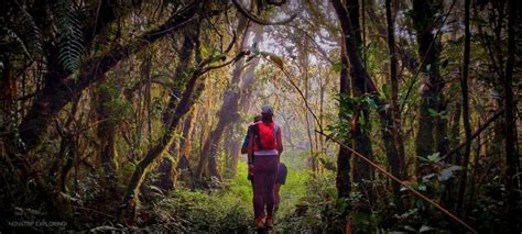 Philippine Mountain Trail (PMT) - King of the Mountain (KOTM) 2025 ...