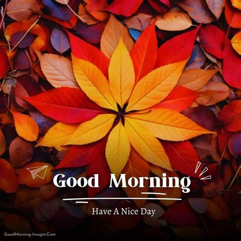 Nature - Good Morning Wishes