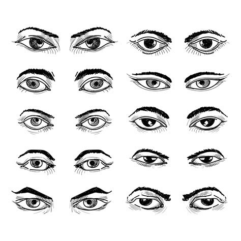 Different Types Of Eyes Drawing at Ruby Najar blog