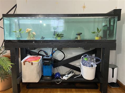 100 gallon tank upgrade! I’ll be getting a skirt to cover the tank ...