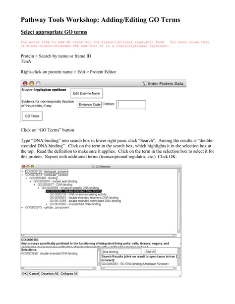 Go Annotation Tools 的图像结果