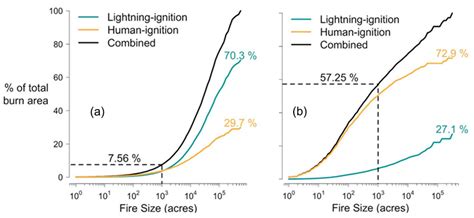 Lightning-Induced Wildfires: An Overview
