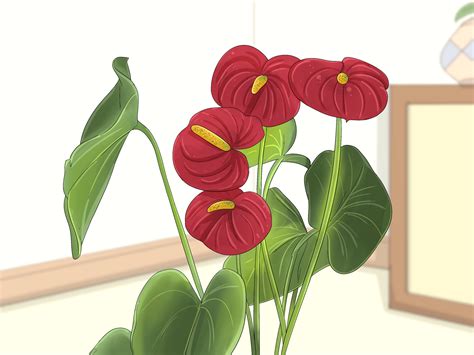 Kindness Symbolism: 30 Examples from Around the World