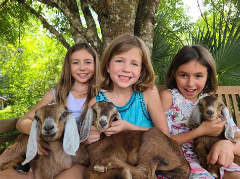 Image result for Lee County Library System Books Star Command