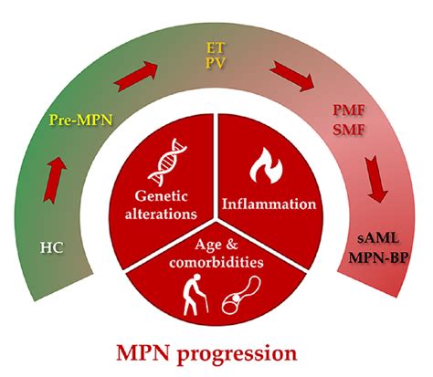 Progression of Myeloproliferative Neoplasms (MPN): Diagnostic and ...