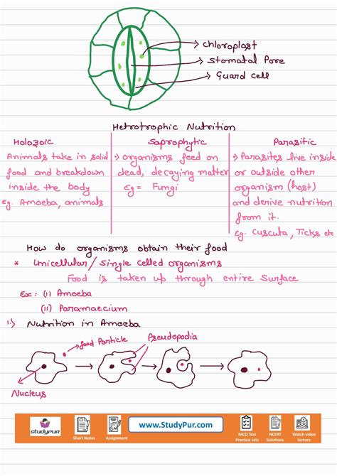Life Process Class 10 CBSE 的图像结果