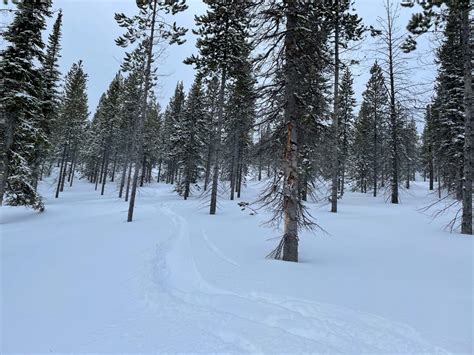Lost Trail Powder Mountain Review - Ski North America's Best 100+ Resorts