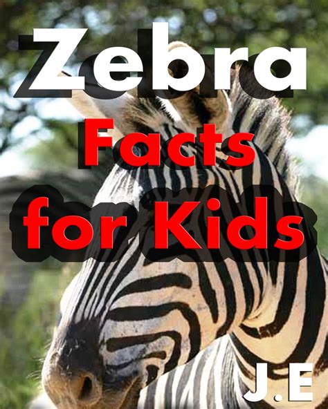 Three Interesting Facts About Zebras at Robert Keck blog