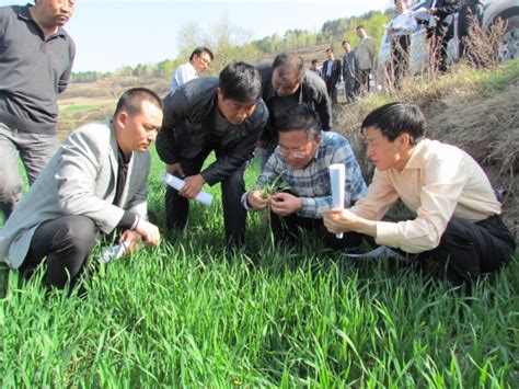 农业部种子局督导组在秦安检查指导春耕生产工作(图)--天水在线